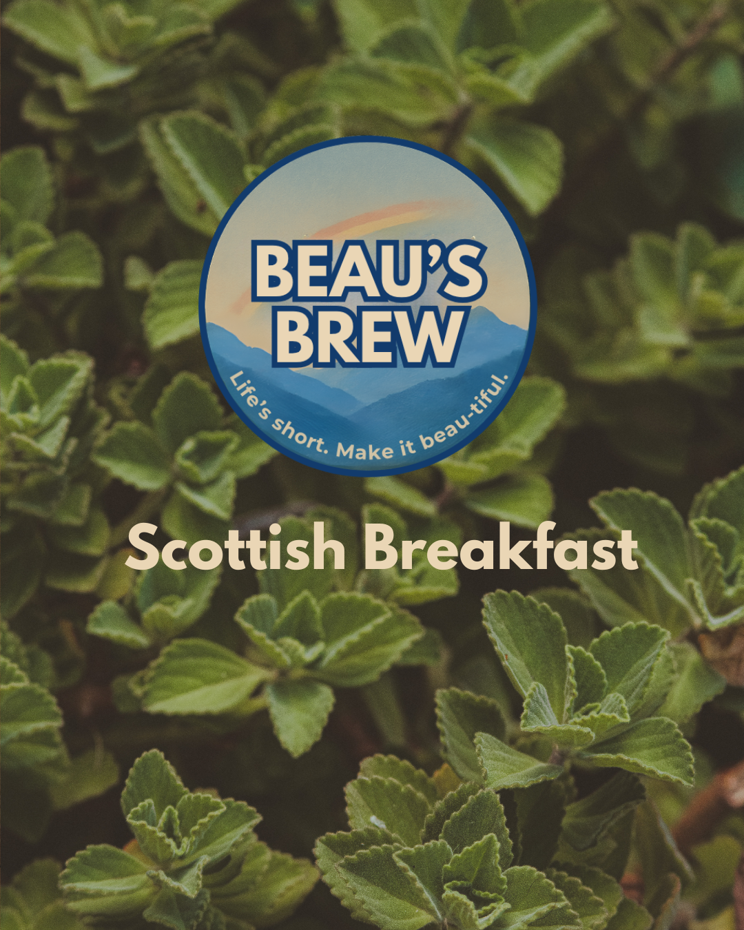 Scottish Breakfast Tea Satchets
