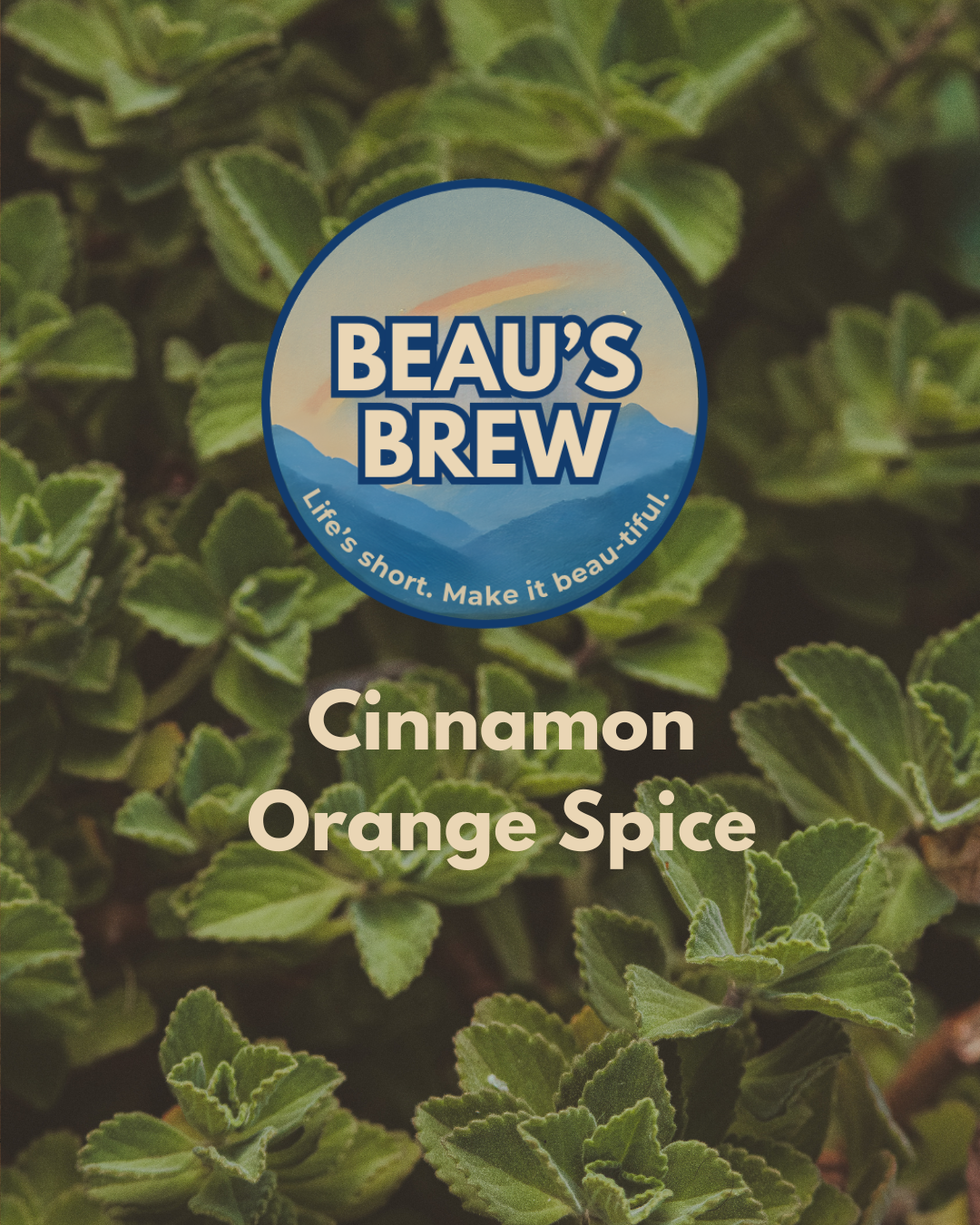 Cinnamon Orange Spice